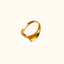 EMBER-RING