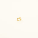 INES-RING