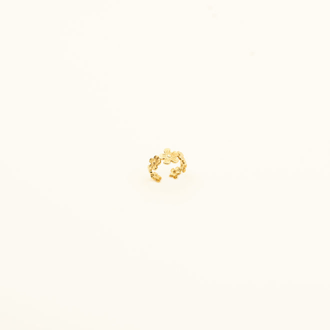 INES-RING