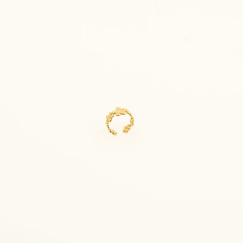 INES-RING