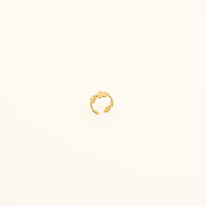 INES-RING