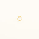 ANAIS-RING