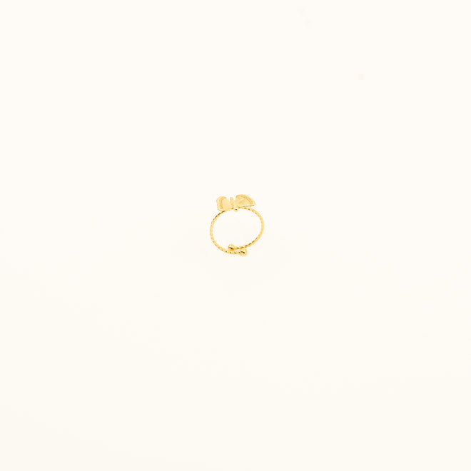 ANAIS-RING