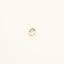 NOLA-RING