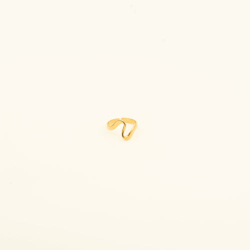 CAIA-RING